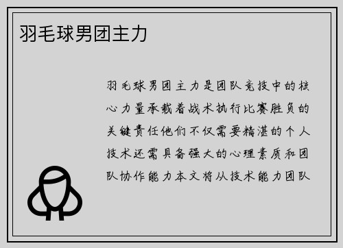 羽毛球男团主力
